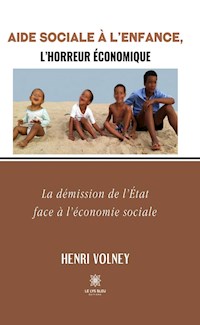 Aide Sociale à l’Enfance, l’horreur économique - Henri Volney - ebook