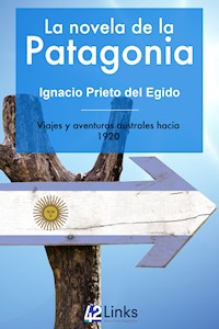 La novela de la Patagonia - Ignacio Prieto del Egido - ebook