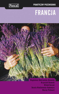 Francja praktyczny przewodnik - Dobrzańska-Bzowska Magdalena, Bzowski Krzysztof, Korsak Witold - książka