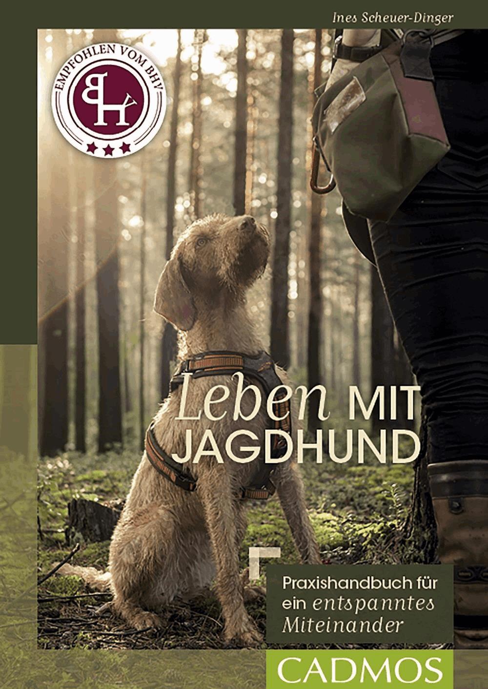 Leben mit Jagdhund