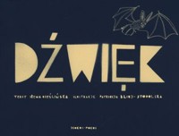Dźwięk - Jan Bajtlik - książka