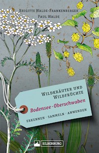 Wildkräuter und Wildfrüchte Bodensee Oberschwaben - Brigitte Walde-Frankenberger - ebook