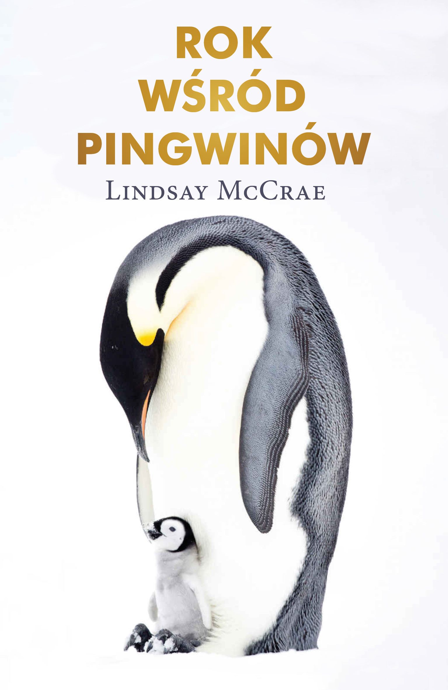Okładka:Rok wśród pingwinów 