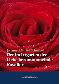Der im Irrgarten der Liebe herumtaumelnde Kavalier - Johann Gottfried Schnabel - ebook