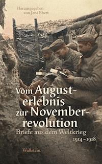 Vom Augusterlebnis zur Novemberrevolution -  - ebook
