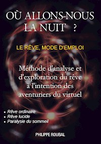 Où allons-nous la nuit ? - Philippe Roubal - ebook