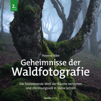 Geheimnisse der Waldfotografie - Yvonne Albe - ebook