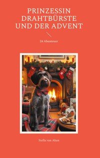 Prinzessin Drahtbürste und der Advent - Stella van Aken - ebook