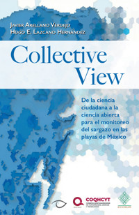 Collective View - Javier Arellano Verdejo - ebook