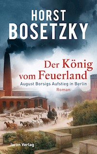 Der König vom Feuerland - Horst Bosetzky - ebook