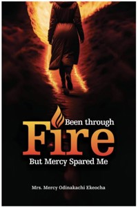 Been Through Fire But Mercy Spared Me - Ekeocha Mercy Odinakachi - ebook