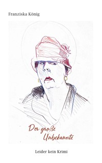 Der große Unbekannte - Franziska König - ebook