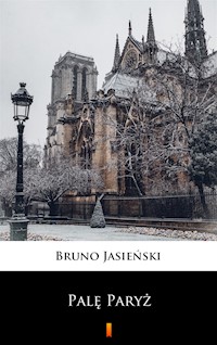 Palę Paryż - Bruno Jasieński - ebook