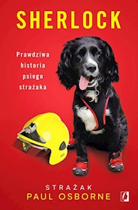 Sherlock - Paul Osborne - książka