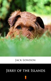 Jerry of the Islands - Jack London - ebook