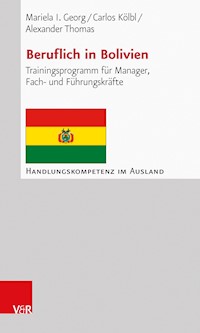Beruflich in Bolivien - Mariela I. Georg - ebook