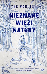 Nieznane więzi natury - Wohlleben Peter - książka