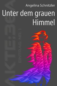 Unter dem grauen Himmel - Angelina Schnitzler - ebook