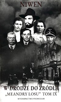 Meandry losu Tom 9 W drodze do źródła - Niwen - książka