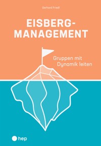 Eisbergmanagement (E-Book) - Friedl Gerhard - ebook