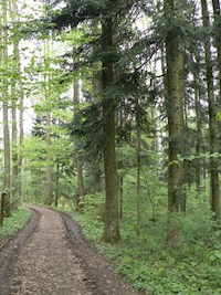 Sehr gut - Wolfgang Treitler - ebook