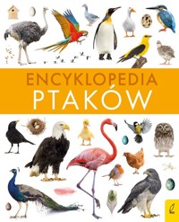 Encyklopedia ptaków - Zalewski Paweł - książka