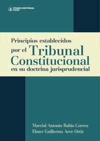 Principios establecidos por el Tribunal Constitucional en su doctrina jurisprudencial - Marcial Antonio Rubio Correa - ebook