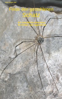 Finde den gestohlenen Schatz - Hans-Jürgen Soll - ebook
