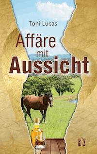 Affäre mit Aussicht - Toni Lucas - ebook