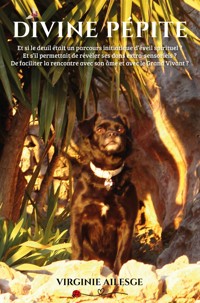 Divine pépite - Virginie Ailesge - ebook