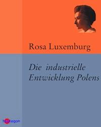 Die industrielle Entwicklung Polens - Rosa Luxemburg - ebook