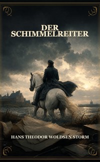 Der Schimmelreiter - Hans Theodor Woldsen Storm - ebook