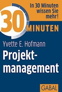 30 Minuten Projektmanagement - Yvette E. Hofmann - ebook