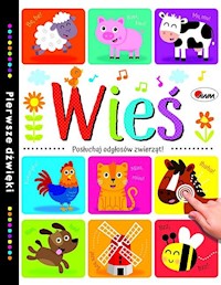 Wieś Pierwsze dźwięki - Natalia Kawałko-Dzikowska - książka