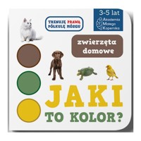 Jaki to kolor? Zwierzęta domowe - zbiorowa praca - książka
