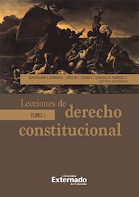 Lecciones de derecho constitucional. Tomo I - Magdalena Correa Henao - ebook