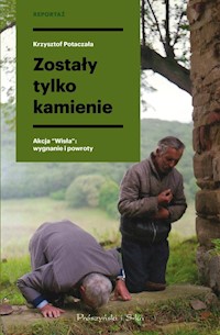 Zostały tylko kamienie - Krzysztof Potaczała - książka