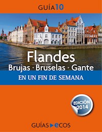 Flandes - Varios autores - ebook