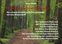 EEZ Energie Energiewirtschaft Zukunftsenergien - Dieter Mende - ebook