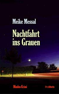 Nachtfahrt ins Grauen - Meike Messal - ebook