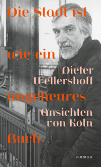 Die Stadt ist wie ein ungeheures Buch - Dieter Wellershoff - ebook
