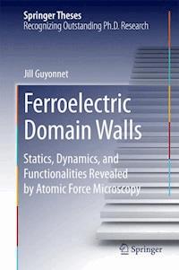 Ferroelectric Domain Walls - Jill Guyonnet - ebook
