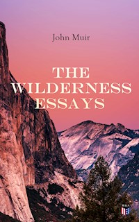 The Wilderness Essays - John Muir - ebook