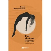 Pod słońcem Turynu - Ivana Dobrakovova - ebook + książka