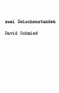 zwei Zwischenstunden - David Schmied - ebook