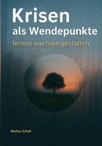 Krisen als Wendepunkte - Markus Schall - ebook