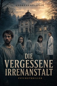 Die vergessene Irrenanstalt - Andreas Güldner - ebook