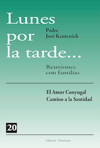 Lunes por la tarde 20 - José Kentenich - ebook