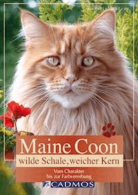 Maine Coon - Wilde Schale weicher Kern - Kerstin Malcus - ebook