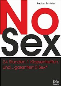 No Sex - Fabian Schäfer - ebook